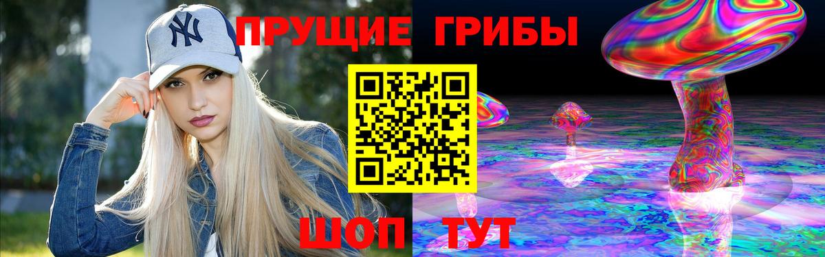 Новокубанск  Псилоцибиновые грибы Psilocybe  Вход с VPN 